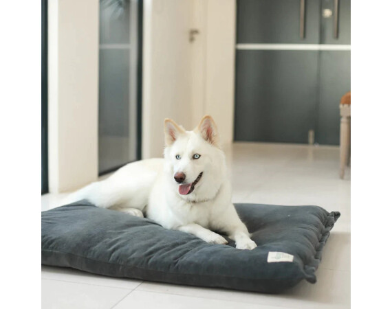 swag dog bed dark grey 5000x