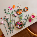 Screenshot 2025 05 29 152152