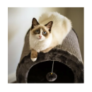 Screenshot 2026 04 15 123049